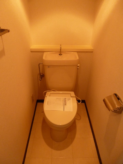 Toilet. With toilet seat temperature adjustment function