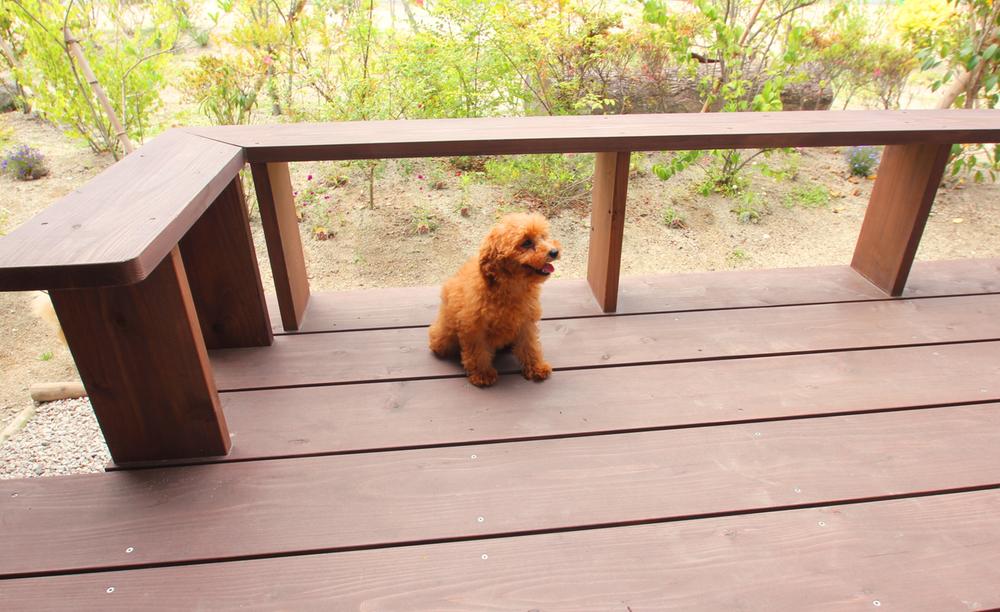 Garden. Summer feels the wind blows wood deck