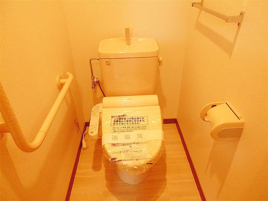 Toilet. Bidet function toilet