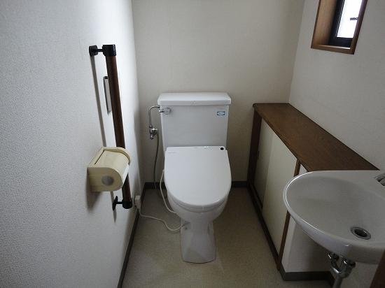 Toilet. First floor toilet