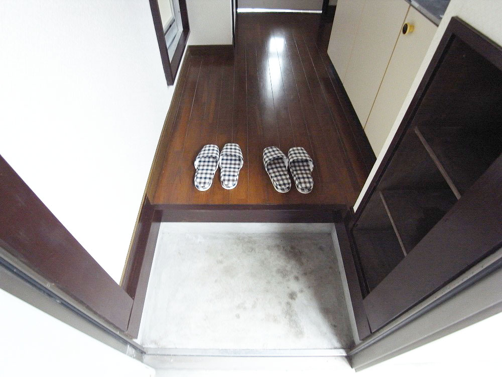 Entrance. Entrance of shoes BOX equipped