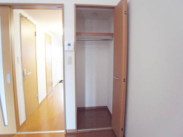 Other. There is also a closet