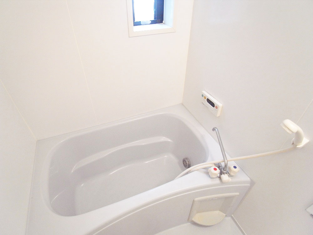 Bath. Pat clean window with bathroom moisture measures