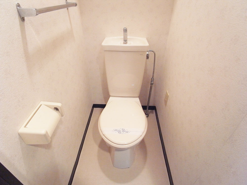 Toilet. It is a toilet with a clean