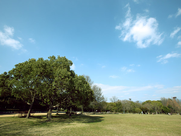 Surrounding environment. Kasuga Park (4-minute walk / 310m)