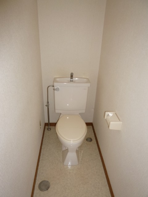 Toilet. It is a flush toilet! !