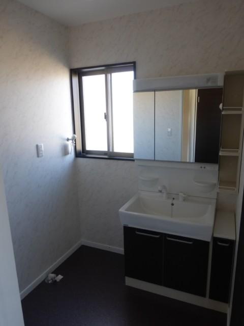 Wash basin, toilet. Isomorphic Property construction cases