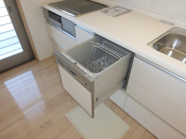 Other introspection. It comes with a dishwasher!