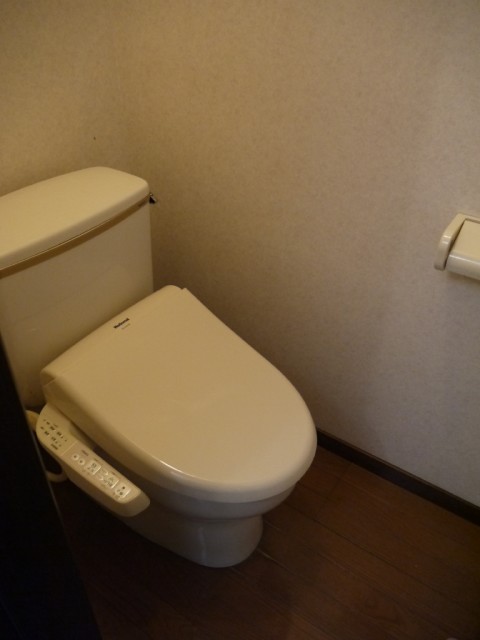 Toilet. It is a flush toilet ☆