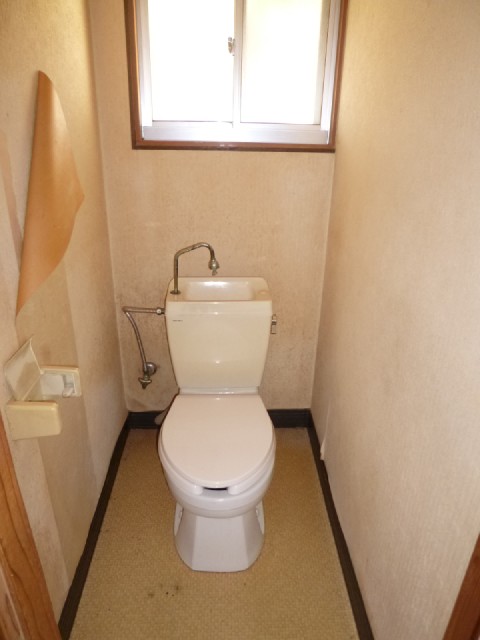 Toilet. It is a simple flush toilet!
