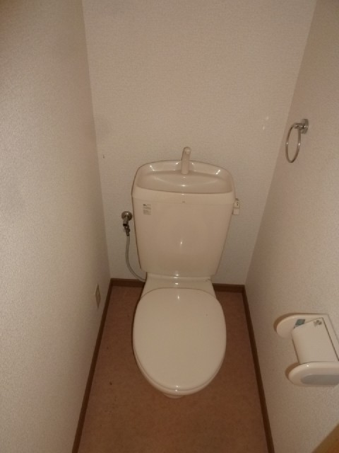 Toilet. It is a flush toilet. 