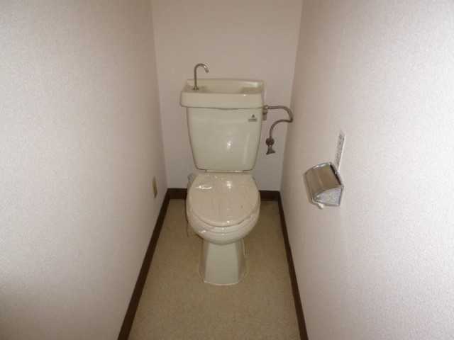 Toilet. It is a flush toilet ☆