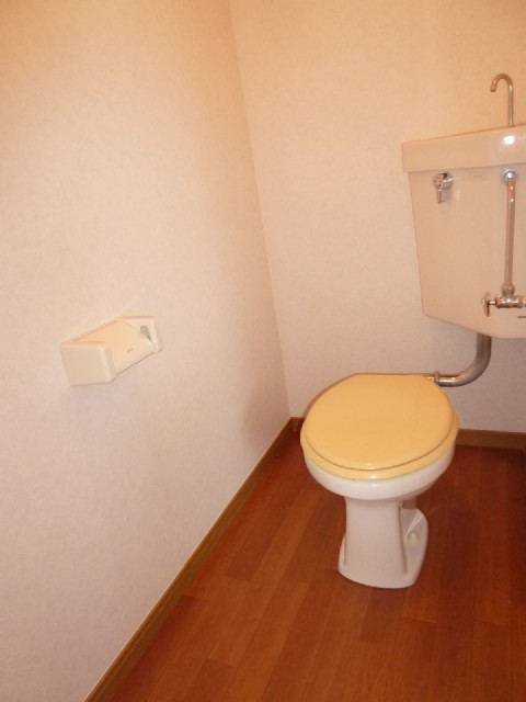 Toilet. It is a flush toilet! 