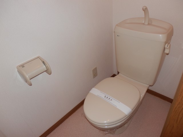Toilet. It is a flush toilet