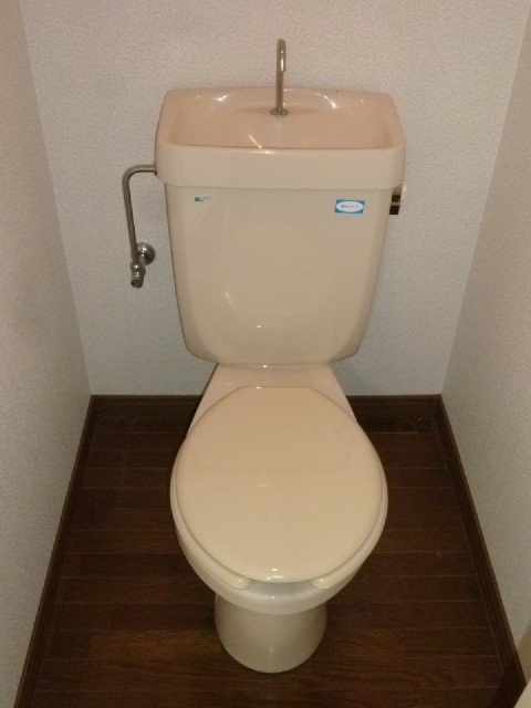 Toilet. Flush toilet
