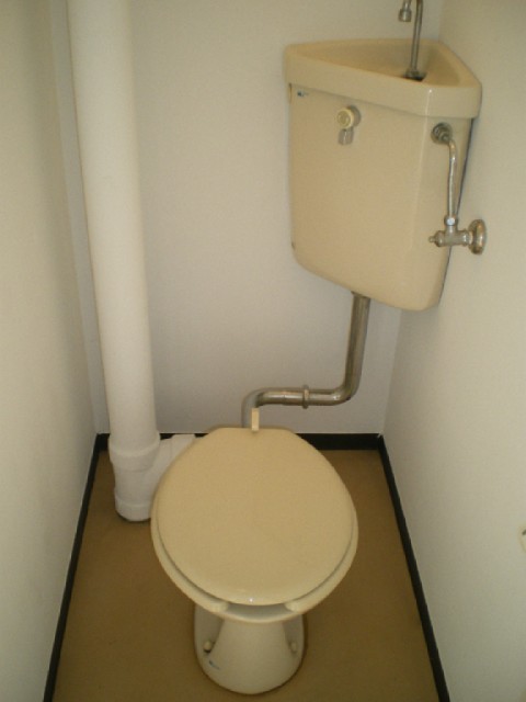 Toilet. Flush toilet ☆ 