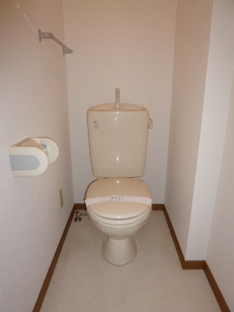 Toilet. It is a flush toilet ☆ 