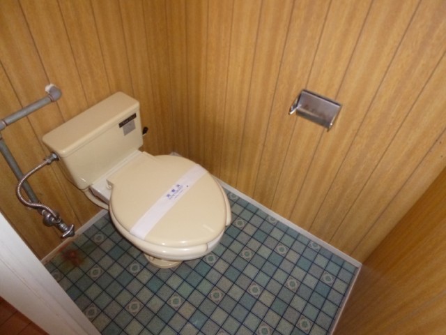 Toilet. It is a simple flush toilet.