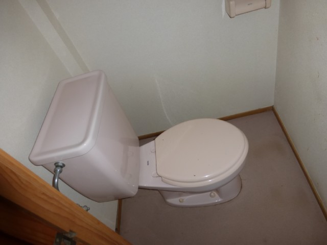 Toilet