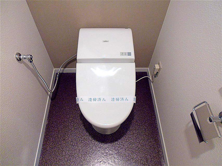 Toilet. Bidet function with tankless toilet