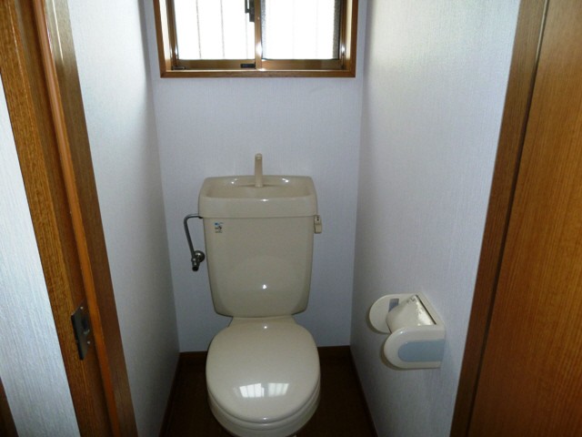 Toilet. Flush toilet