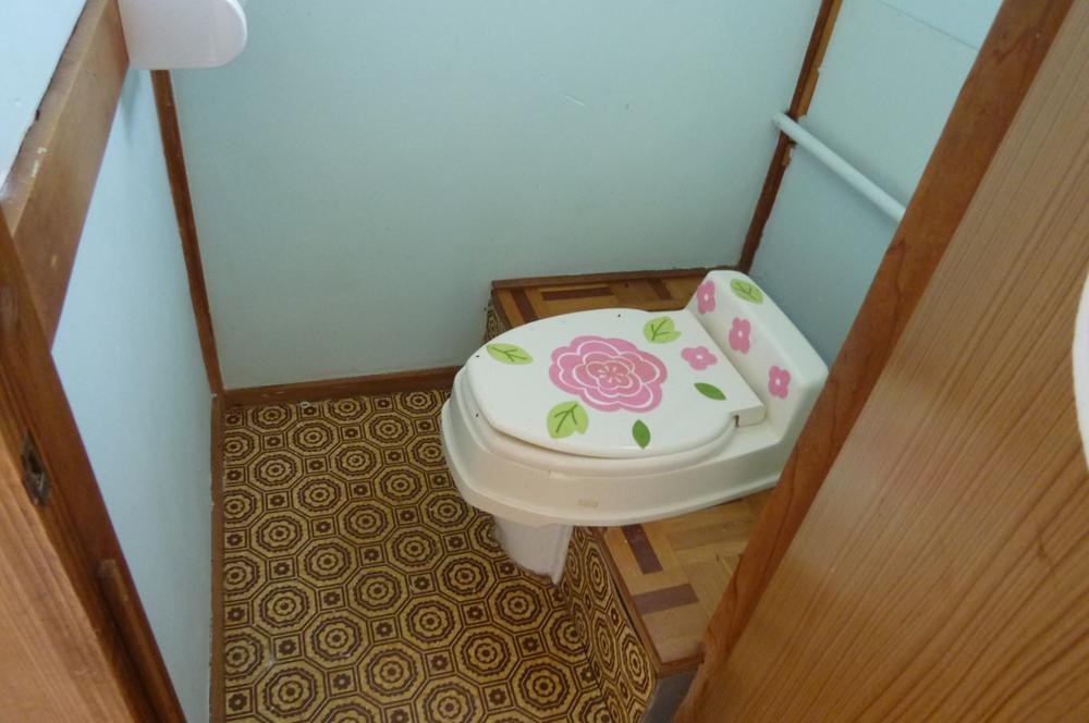 Toilet. Current Status Kumitori