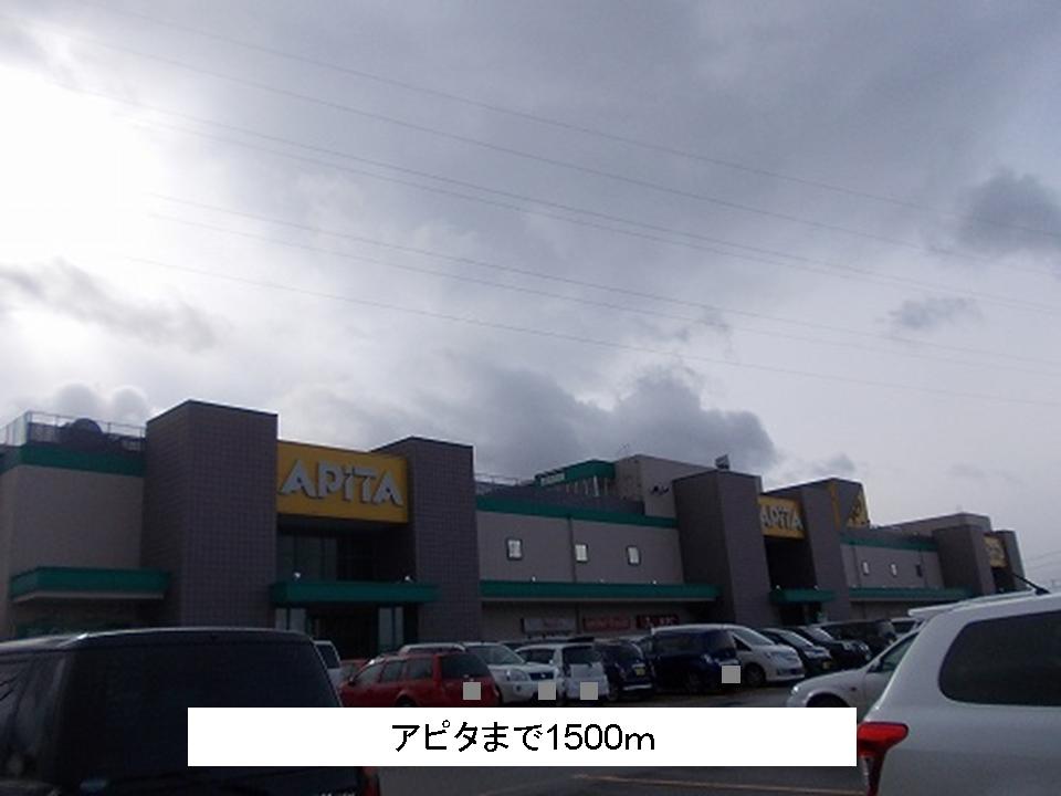Shopping centre. Apita until the (shopping center) 1500m