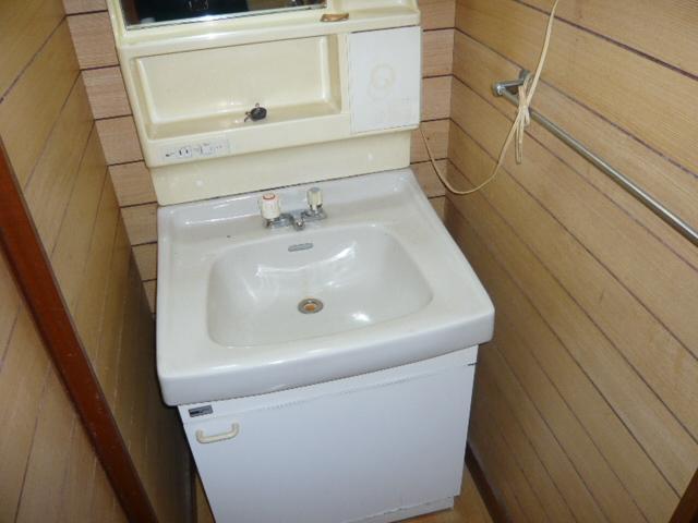 Washroom. Bathroom vanity