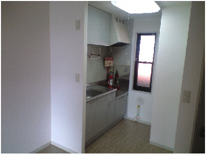 Kitchen. Convenient window with kitchen ventilation