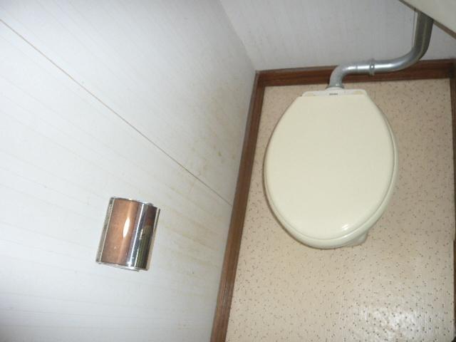 Other. Toilet