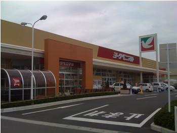 Shopping centre. Yorktown Otsuki store (Matsukiyo ・ Other) to (shopping center) 666m