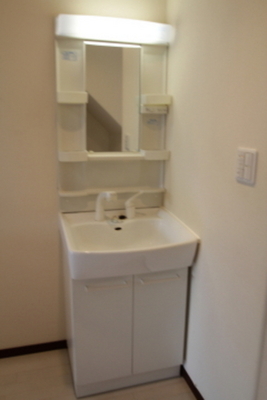 Washroom. Independent wash basin, Shampoo dresser