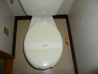 Toilet