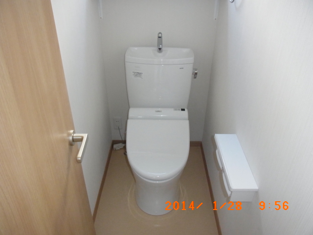 Toilet. Cleaning heating toilet seat