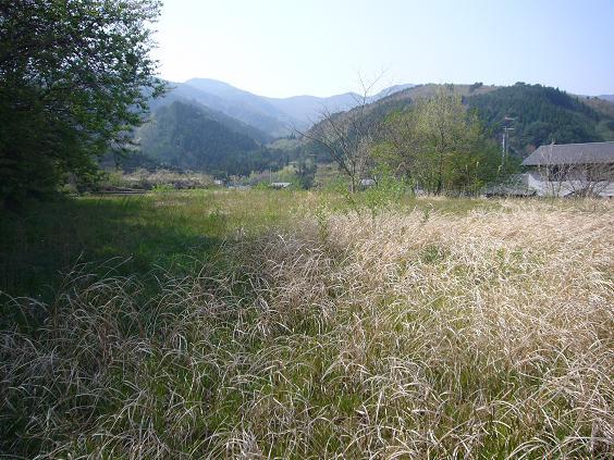 Local land photo