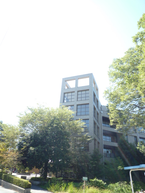 University ・ Junior college. Private Nihon University Faculty of Engineering (University of ・ 1204m up to junior college)