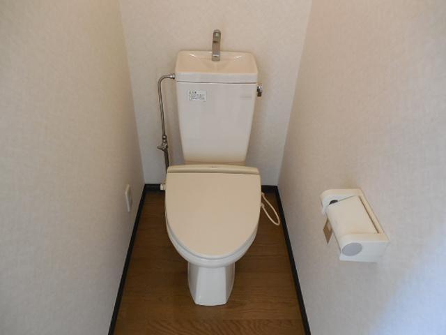 Toilet. Toilet