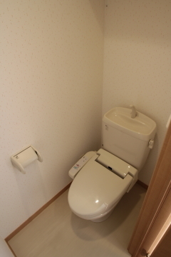 Toilet. Bidet, Shelf with toilet