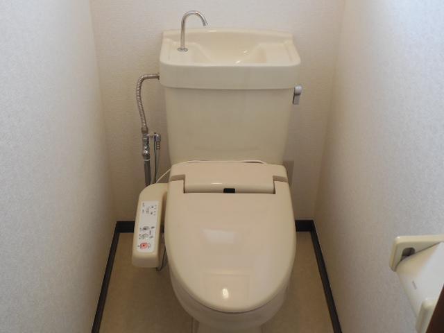 Toilet. Toilet