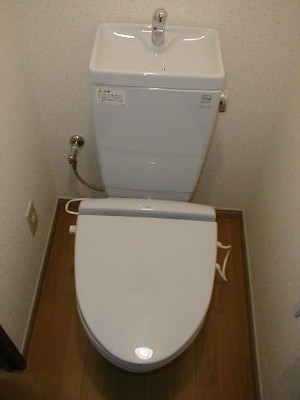 Toilet. Toilets: winter warmth in the heating toilet seat