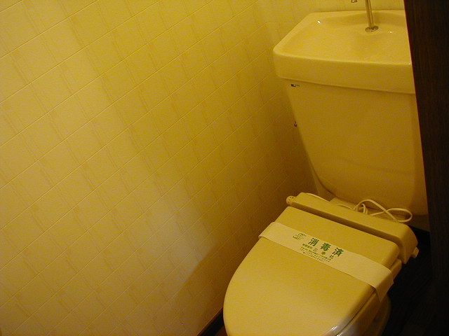 Toilet. Photos may vary from the present situation for the other room
