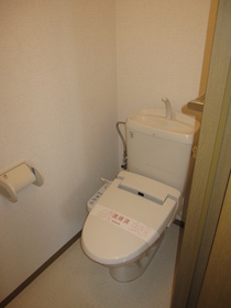 Toilet. With cleaning function heating toilet seat