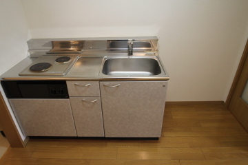 Kitchen. Electric stove two-neck with. Sink also is spread.