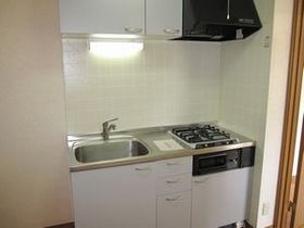 Kitchen. Gas stove with kitchen