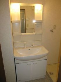 Washroom. Shampoo dresser