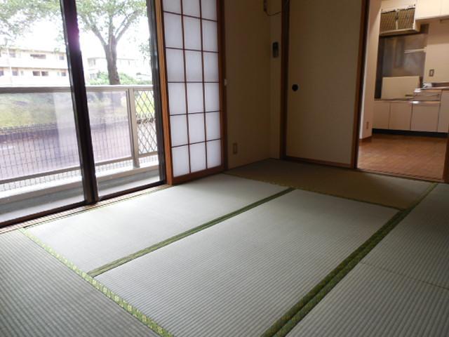 Other room space. Japanese style room