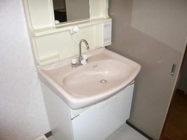 Washroom. Bathroom vanity