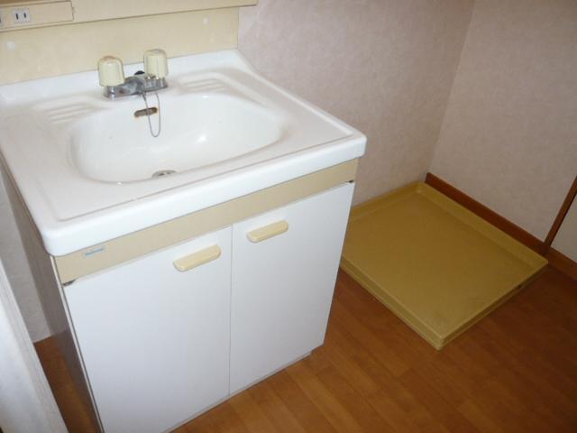 Washroom. Bathroom vanity, Indoor Laundry Storage