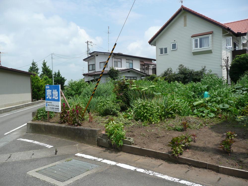 Local photos, including front road. It is ideal for home garden! 