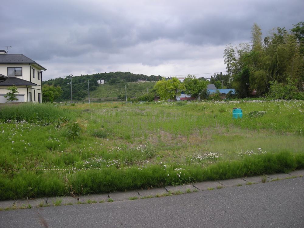 Local land photo. It is suitable for home gardens. 